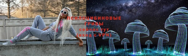 кокс Алексеевка