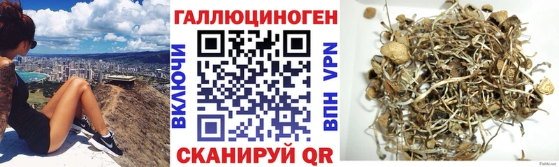 Псилоцибиновые грибы Cubensis  где найти наркотики  Лагань 